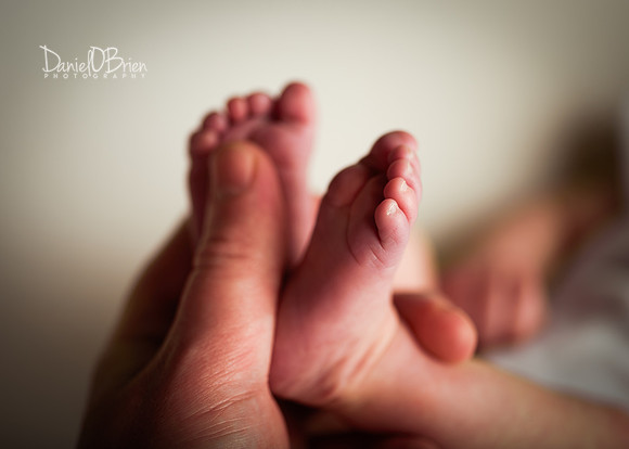 Fiadh 3383021
