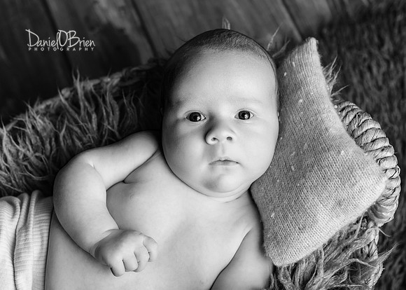 Toby 0316034