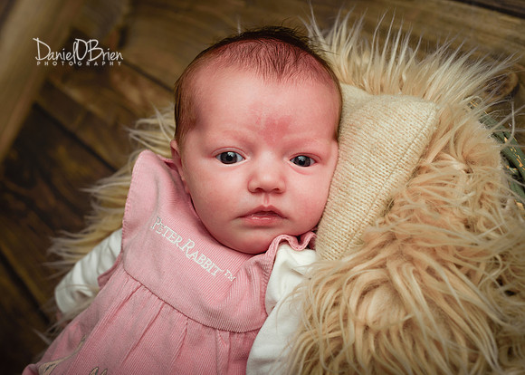Ayda 6462019