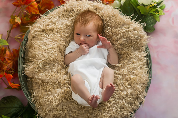 Clara1557009
