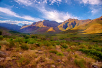 South Africa Digi-Paints