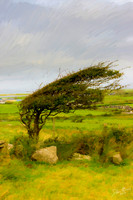 LouisburghPaint03