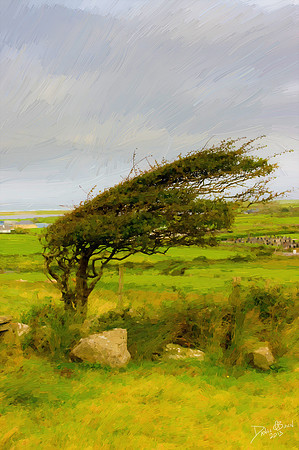 LouisburghPaint03