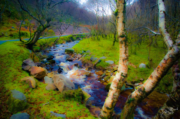 DonegalPaint09