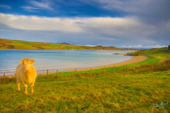 DonegalPaint05