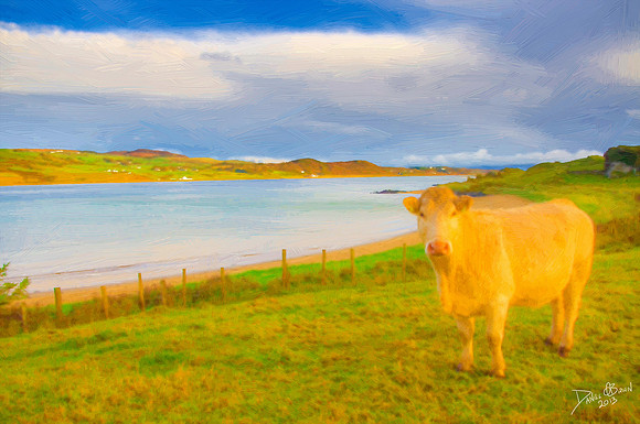 DonegalPaint04