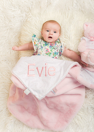 Evie 5238019