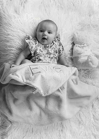 Evie 5235018