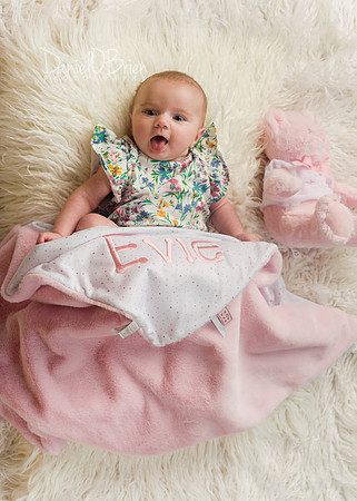 Evie 5235017
