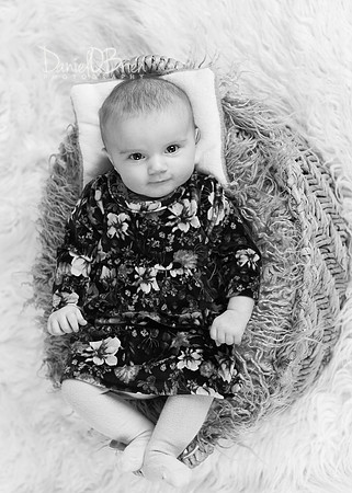 Evie 5269036