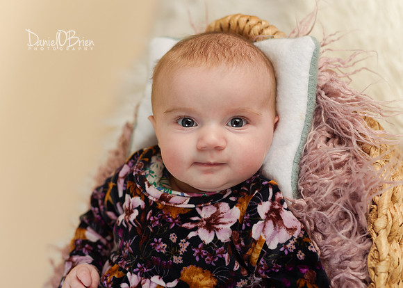 Evie 5272037