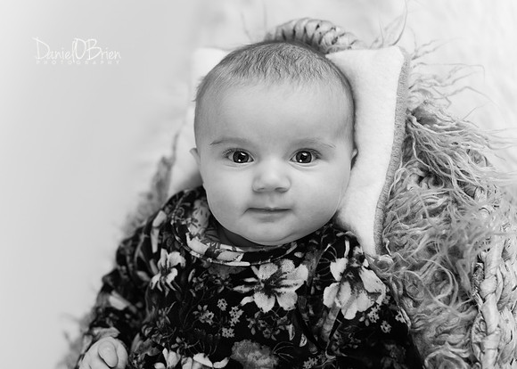 Evie 5272038