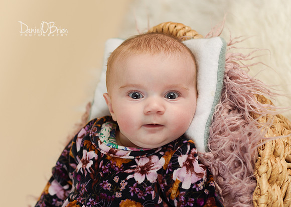 Evie 5277041