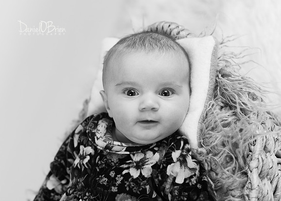 Evie 5277042