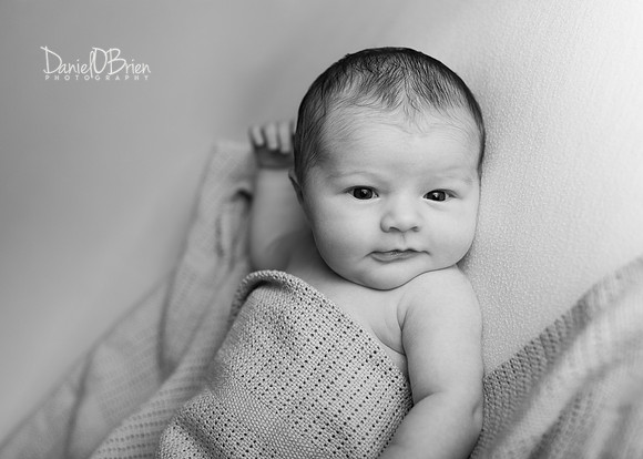 Fiadh 9023024