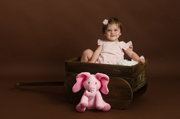 Happy-children-in-the-wood-cart-and-her-teddy-elephant