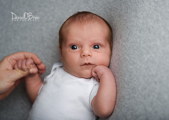 Ollie 7763023