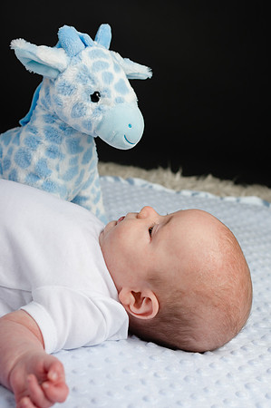 Baby-admire-their-giraffe