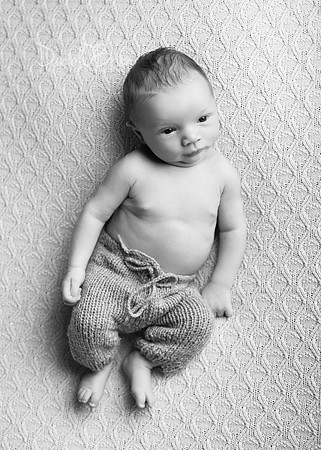 Caelan 9224022