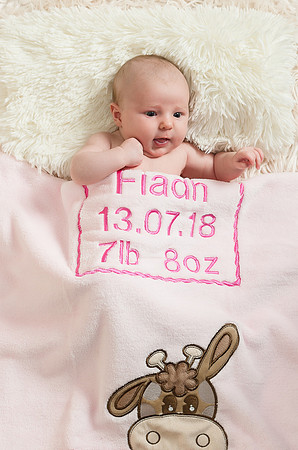 Emsheen20180354029
