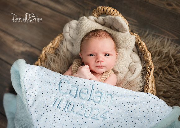 Caelan 9266041