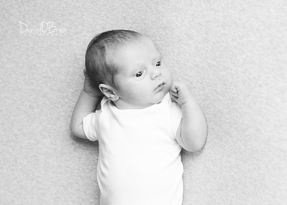 Ollie 7739014