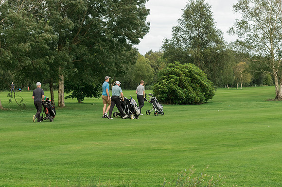 _DOB0986