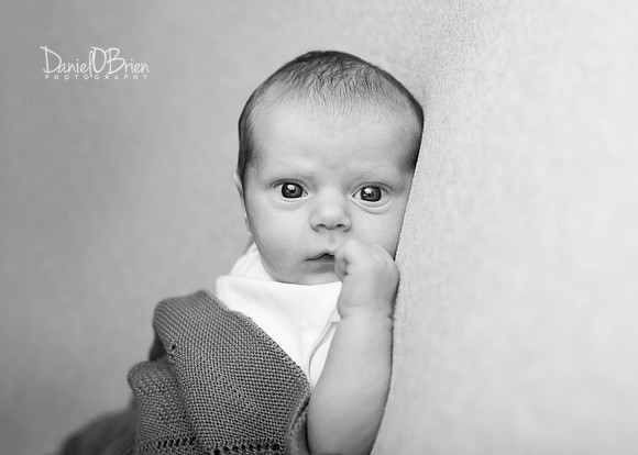 Ollie 7719002