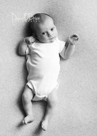 Ollie 7743016