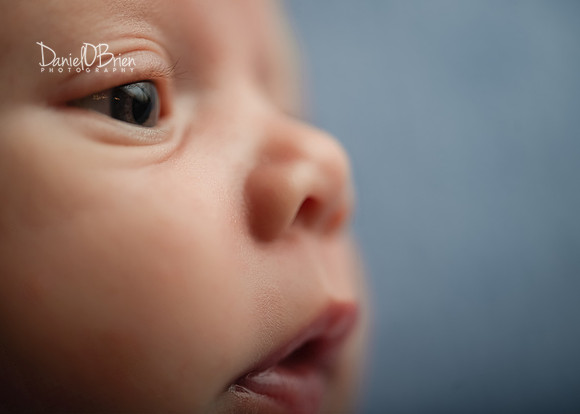 Mateo 1732029