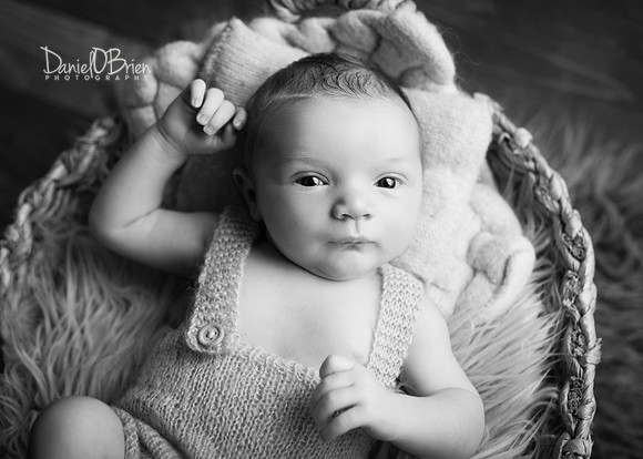 Caelan 9242030