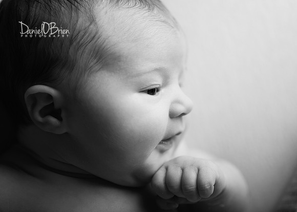 Fiadh 9039034