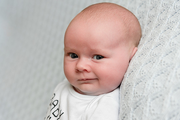 Baby Bellew 1776011