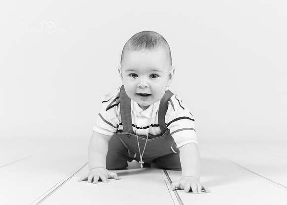 Quintin 0848026