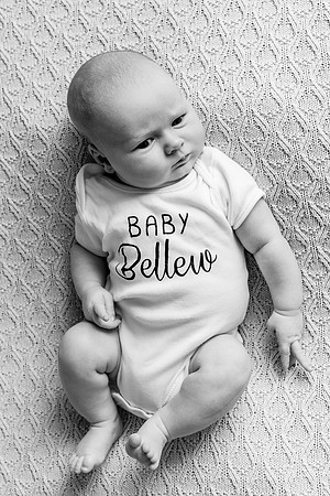 Baby Bellew 1772008