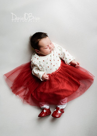 Lilly 0832029
