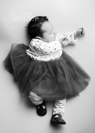 Lilly 0854042