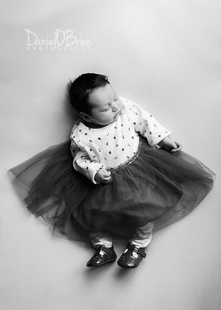 Lilly 0832030