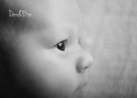 Billy 0143022