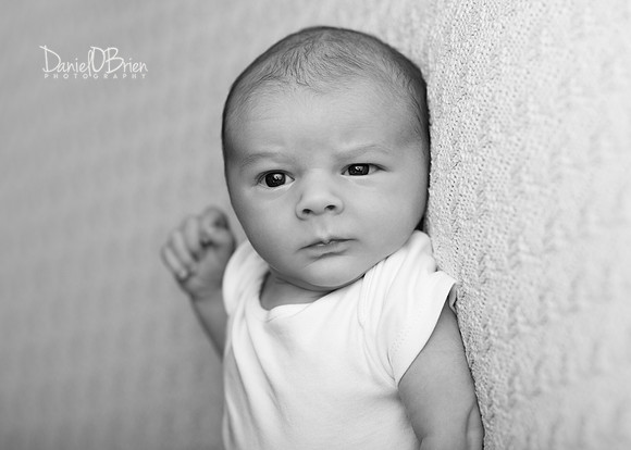 Bobby 9546008