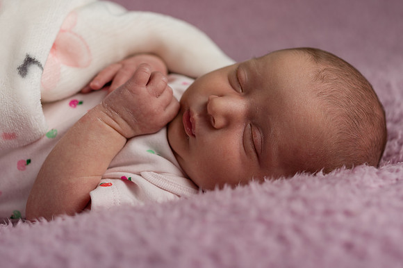 Hollie3035002