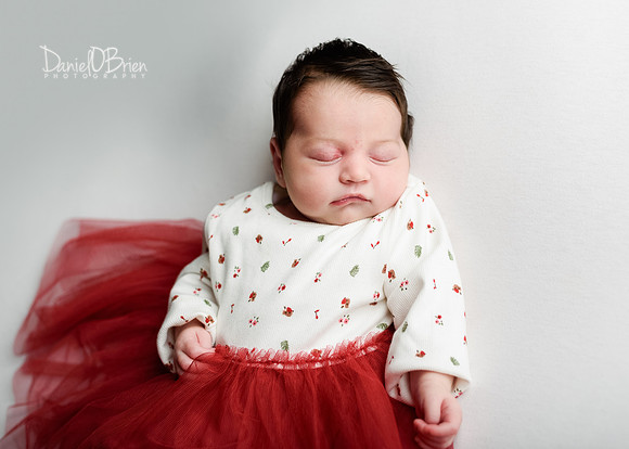 Lilly 0827027