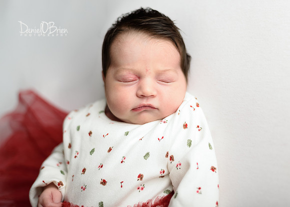 Lilly 0823025