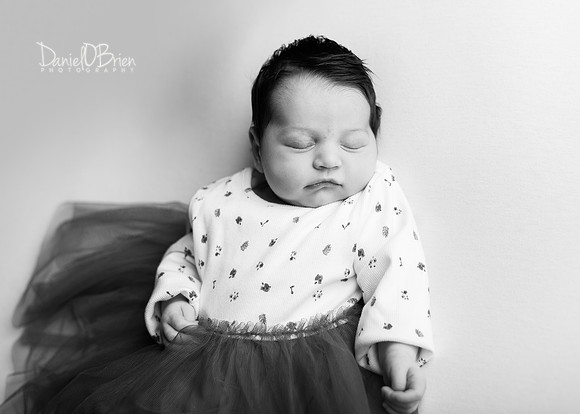 Lilly 0827028