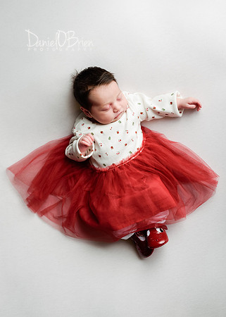 Lilly 0834031