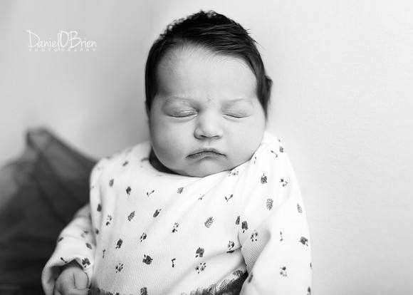 Lilly 0823026