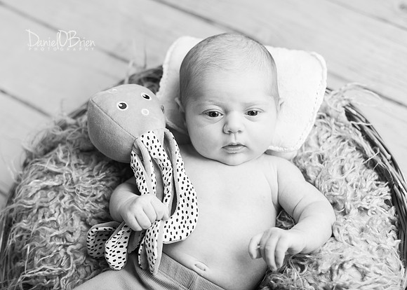 Aisling 9173036