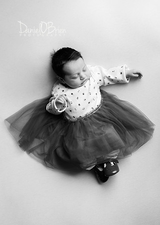 Lilly 0834032