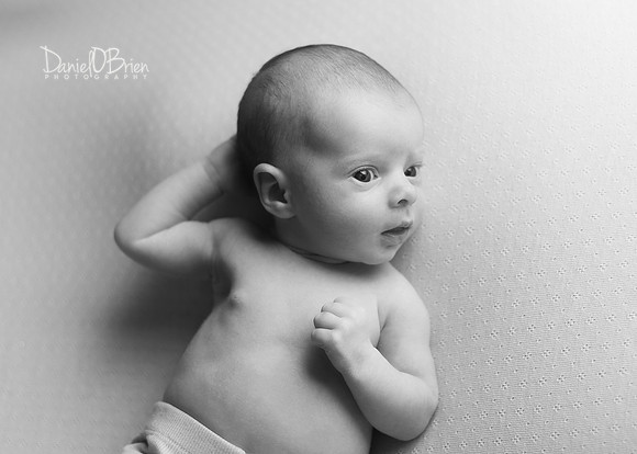 Caoimhe 2080004