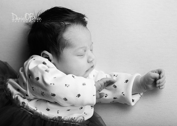 Lilly 0852040
